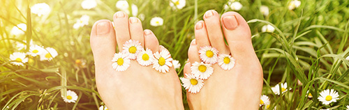 Füße mit Gänseblümchen in Sommerwiese